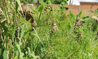 Imagem 3: Excelente Terreno de esquina com ótima localização 595m² - no Japiim II