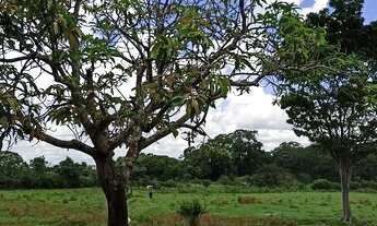 Imagem 4: Chácara 42.000 metros Chácara Recreio Samabaia