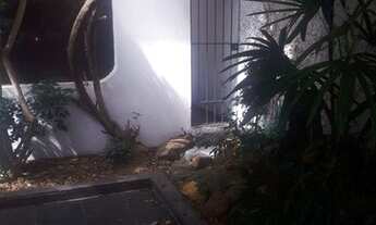 Imagem 2: CASA ASSOBRADADA - CHÁCARA SANTO ANTONIO - SP