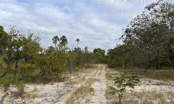 Imagem 6: Fazenda Barra dos Coqueiros Côcos Bahia