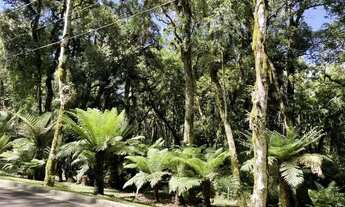 Imagem 3: TERRENO NO CONDOMINIO "O BOSQUE" EM GRAMADO&quot