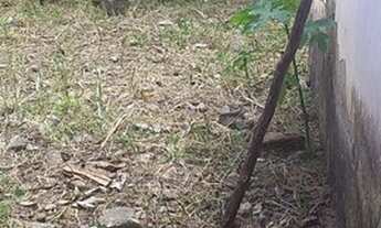 Imagem 2: Casa Casa com 1 dormitório