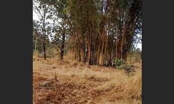 Imagem 2: Vendo ou Troco chácara aceito carro