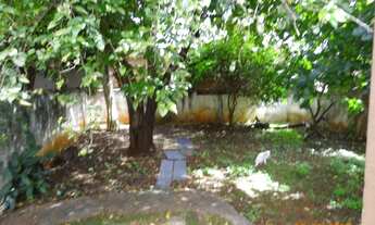 Imagem 5: LONDRINA - Casa Padrão - Ipanema