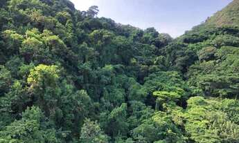 Imagem 5: Cobertura-LOCAÇÃO-Lagoa-Rio de Janeiro-RJ