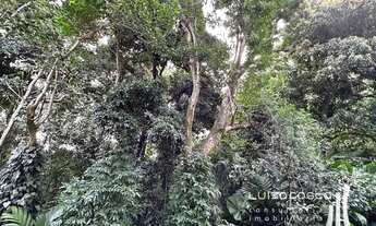 Imagem 5: Charmoso apartamento com vista verde