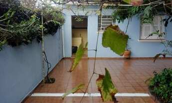 Imagem 7: CASA TÉRREA - LAPA - SP