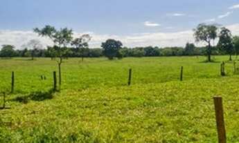 Imagem: 250 alqueires entre Flores e Formosa