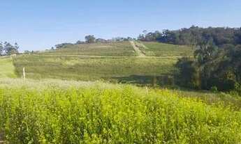 Imagem: Lote/Terreno para venda possui 600 metros