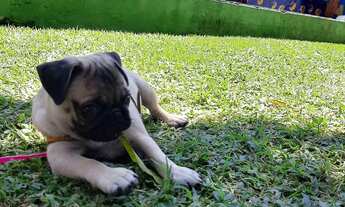 Imagem 2: Pousada , diárias à partir de 70 reais !