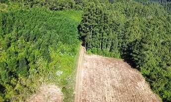 Imagem 4: Barbada Área entre Gramado e Santa Maria do Herval