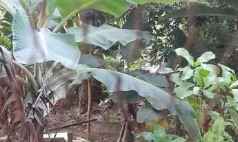 Imagem 5: Casa Casa com 2 dormitórios