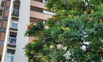 Imagem: Apartamento Espinheiro, 2 quartos