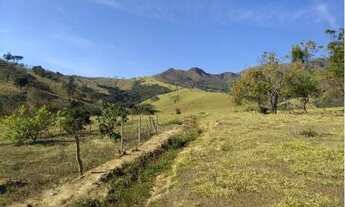 Imagem 2: Fazenda - Fazenda Cachoeira - Ilicínea