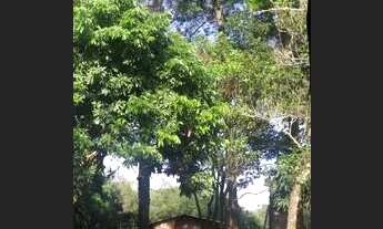 Imagem 3: Alugo Kit Net Kitnet com 1 dormitório