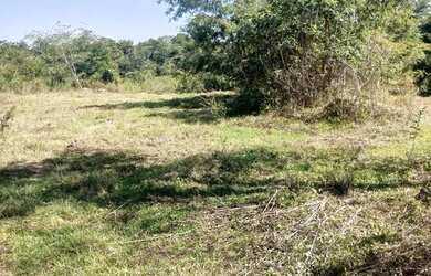 Imagem 4: Chacara em Guapo escritura individual 10 mil de entrada com acesso comum no corrego chaca