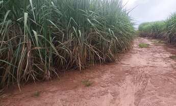 Imagem 4: Fazenda em São Simão