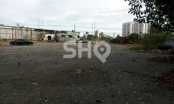 Imagem 2: TERRENO INDUSTRIAL - VILA GUILHERME