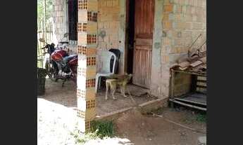 Imagem: Casa próximo o taiasui