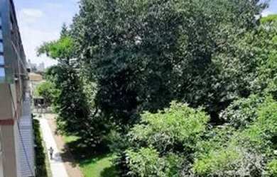 Imagem 5: Ótimo apartamento 1 dormitório com garagem fechada e churrasqueira