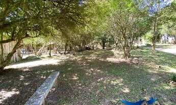 Imagem 3: Velleda oferece lindíssimo sítio, todo arborizado, com açude, na Águas Claras