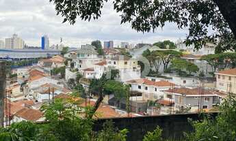 Imagem 5: Terreno Barro Branco- 1980m2