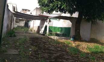 Imagem 2: TERRENO NA CASA VERDE - 336 M2 - 8,00 X 42,00 - PLANO