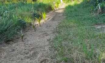 Imagem 5: Sitio no Rio Preto da Eva