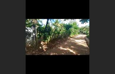 Imagem 3: Vende-se sitio Chácara com venda por R$270.000