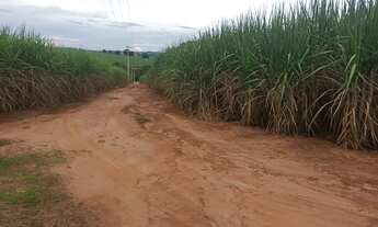 Imagem 2: Fazenda em São Simão