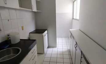 Imagem 6: Oportunidade 2qts na Santa Amélia