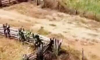 Imagem 7: Fazenda Pra Fruticultura....Área 1500 Hectares..