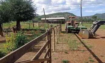 Imagem: Fazenda em Natalândia em Minas Gerais