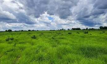 Imagem 2: FAZENDA COM 6.135HA NA REGIÃO DO RIO CUIABÁ RICA EM ÁGUAS
