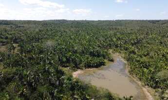 Imagem 2: Fazenda zona rural 37 km do joquei club