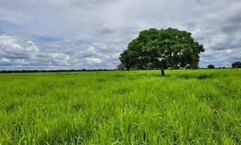 Imagem 4: FAZENDA COM 6.135HA NA REGIÃO DO RIO CUIABÁ RICA EM ÁGUAS