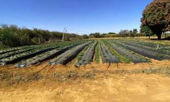 Imagem 3: Vendo Excelente Chácara 5,2 hectares, Radiobras, Brazlândia/DF