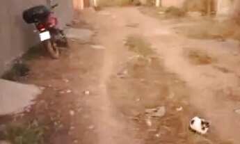 Imagem 2: Lote Terreno / lote com venda por R$55.000