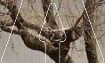 Imagem 3: Casa no Bairro Jardim Nova York em Araçatuba/SP