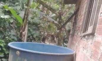 Imagem 6: Terreno à venda, 800 m² por R$ 220.000,00 - Engenho do Mato - Niterói/RJ