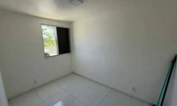 Imagem 6: Bosque das casuarinas