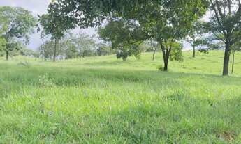 Imagem 5: Fazenda 25 alqueires px Anápolis