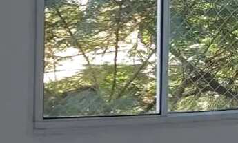 Imagem 7: Rua Cordovil, 1300 - Parada de Lucas