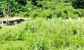 Imagem 6: Fazenda de Oportunidade em Ivolândia - GO