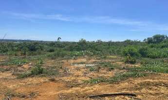 Imagem 3: Terra p/ plantio de lavouras, eucalipto, ou gado, 10 alqueires - Abadiânia - GO