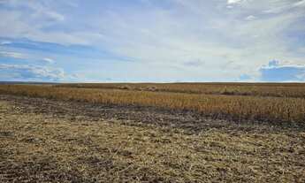 Imagem 2: R$130 Milhões Fazenda de 6.402 ha em Nova Mutum-MT