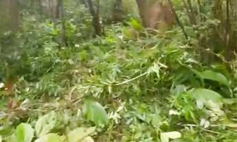 Imagem 2: Vendo chacara em Cuiabá na rodovia da chapada no km34