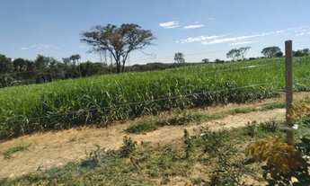 Imagem 13: Fazenda a venda Fazenda / sítio com venda por R$15.000.000