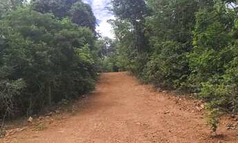 Imagem 2: Ágio chácara Chácara com venda por R$50.000