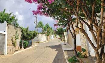 Imagem 4: Col Agr. R. Fundo, Kanegae, Portal do Sol. Cond Fechado LT 400